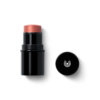 Baume Stick Lèvres et Joues – Blush Stick Baume Stick Lèvres et Joues – Blush Stick