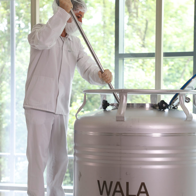 Dr.&nbsp;Hauschka